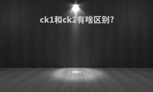 ck1和ck2有啥区别?
