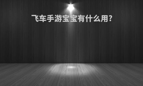 飞车手游宝宝有什么用?