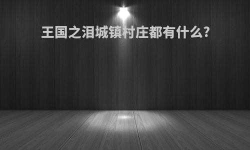 王国之泪城镇村庄都有什么?