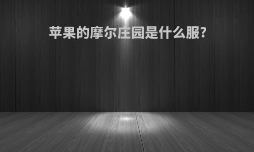 苹果的摩尔庄园是什么服?