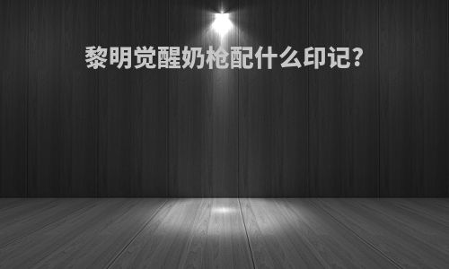 黎明觉醒奶枪配什么印记?