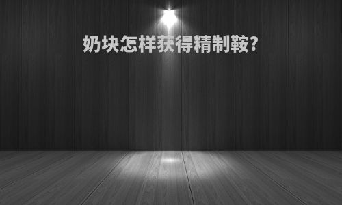 奶块怎样获得精制鞍?