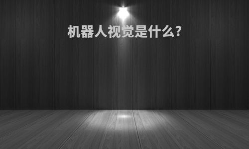 机器人视觉是什么?