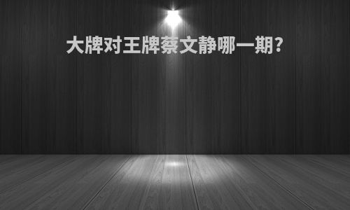 大牌对王牌蔡文静哪一期?