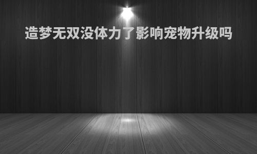 造梦无双没体力了影响宠物升级吗