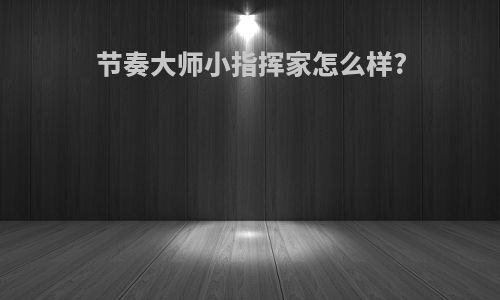 节奏大师小指挥家怎么样?