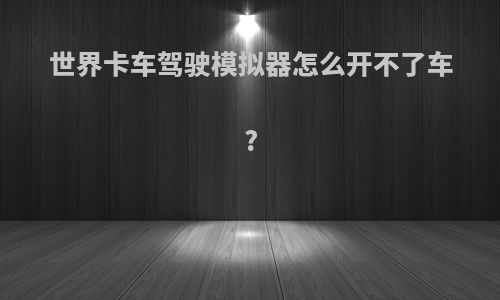 世界卡车驾驶模拟器怎么开不了车?