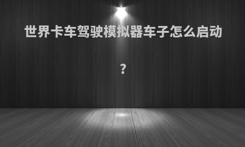 世界卡车驾驶模拟器车子怎么启动?