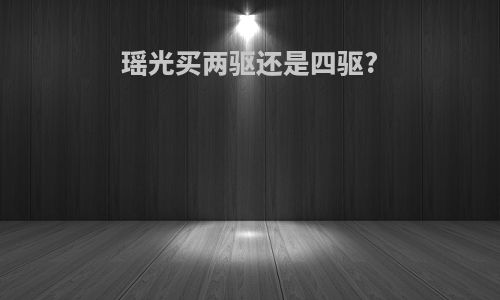 瑶光买两驱还是四驱?