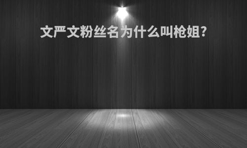 文严文粉丝名为什么叫枪姐?