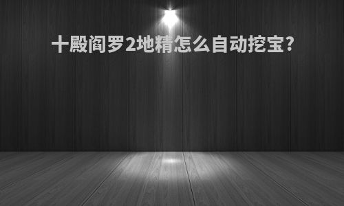 十殿阎罗2地精怎么自动挖宝?