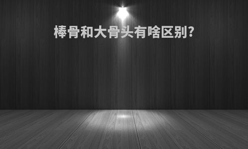 棒骨和大骨头有啥区别?
