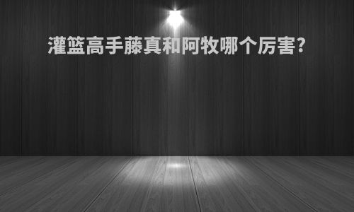 灌篮高手藤真和阿牧哪个厉害?