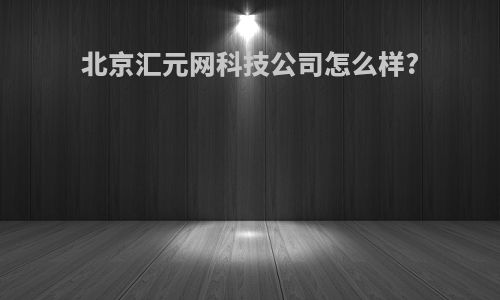 北京汇元网科技公司怎么样?