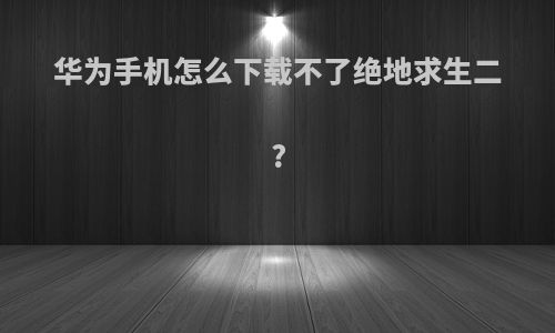 华为手机怎么下载不了绝地求生二?