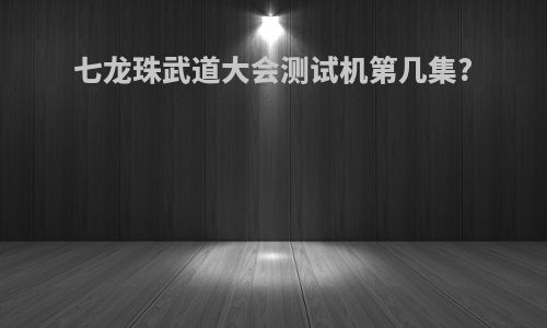 七龙珠武道大会测试机第几集?