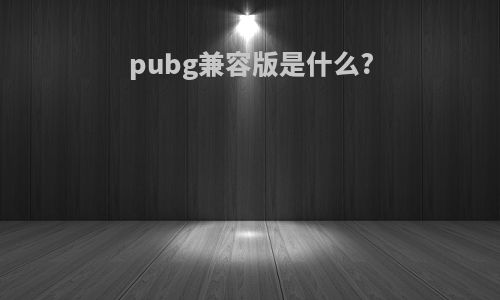 pubg兼容版是什么?