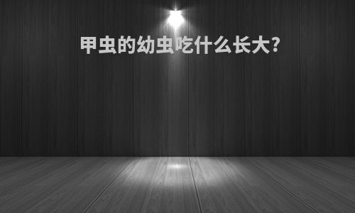甲虫的幼虫吃什么长大?