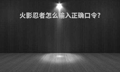 火影忍者怎么输入正确口令?