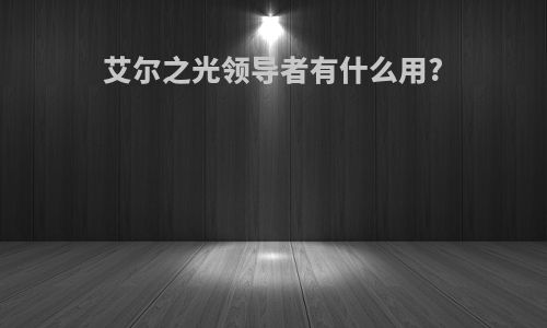 艾尔之光领导者有什么用?