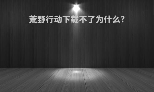 荒野行动下载不了为什么?