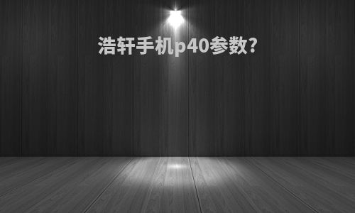 浩轩手机p40参数?