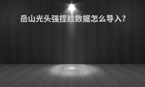 岳山光头强捏脸数据怎么导入?