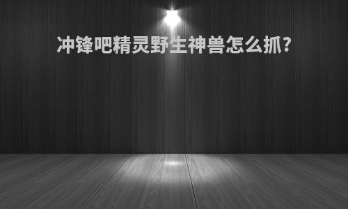 冲锋吧精灵野生神兽怎么抓?