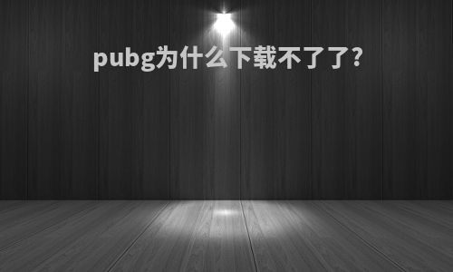pubg为什么下载不了了?
