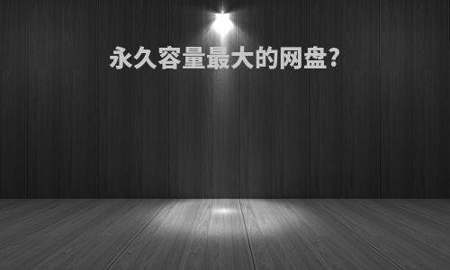 永久容量最大的网盘?