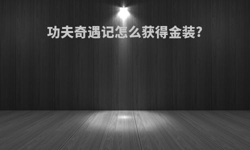 功夫奇遇记怎么获得金装?