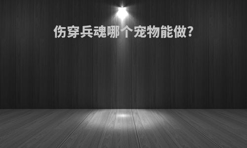 伤穿兵魂哪个宠物能做?