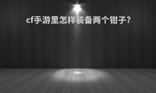 cf手游里怎样装备两个钳子?