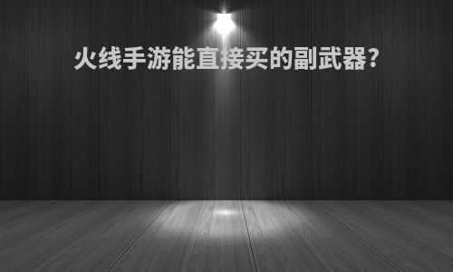 火线手游能直接买的副武器?