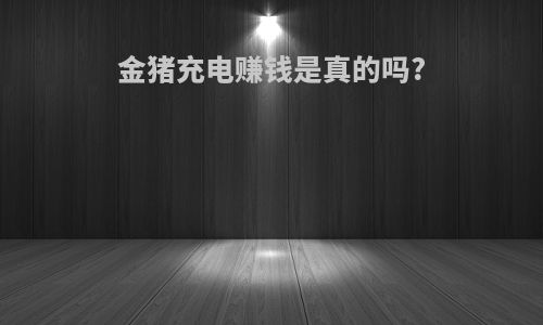 金猪充电赚钱是真的吗?