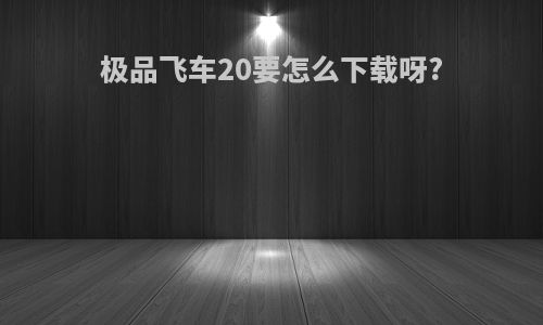 极品飞车20要怎么下载呀?
