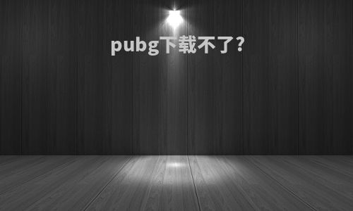 pubg下载不了?