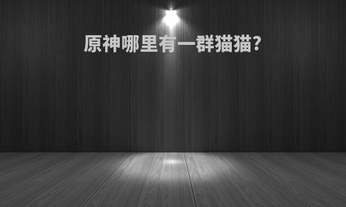 原神哪里有一群猫猫?