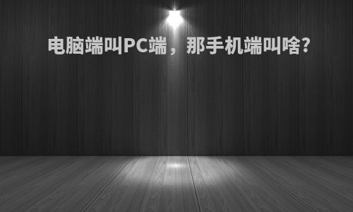 电脑端叫PC端，那手机端叫啥?