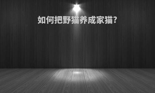 如何把野猫养成家猫?