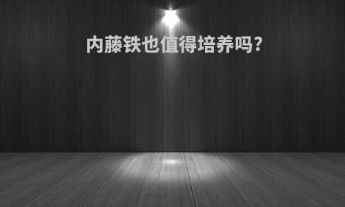 内藤铁也值得培养吗?