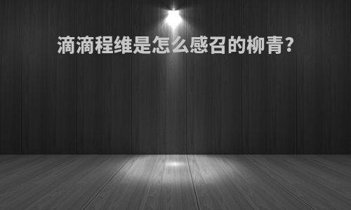 滴滴程维是怎么感召的柳青?