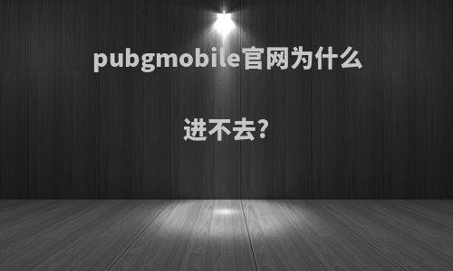 pubgmobile官网为什么进不去?