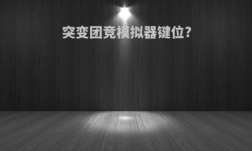 突变团竞模拟器键位?