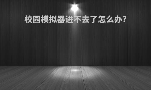 校园模拟器进不去了怎么办?