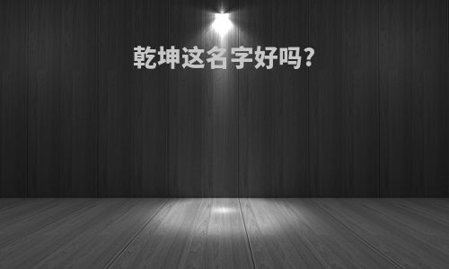 乾坤这名字好吗?
