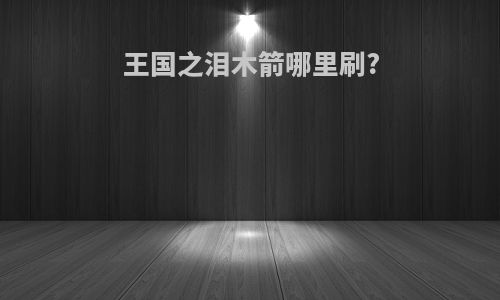 王国之泪木箭哪里刷?