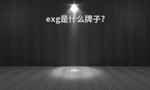 exg是什么牌子?