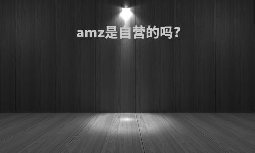 amz是自营的吗?