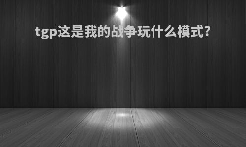 tgp这是我的战争玩什么模式?